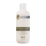 Phyto Purifier Acid Shampoo - ILJIN